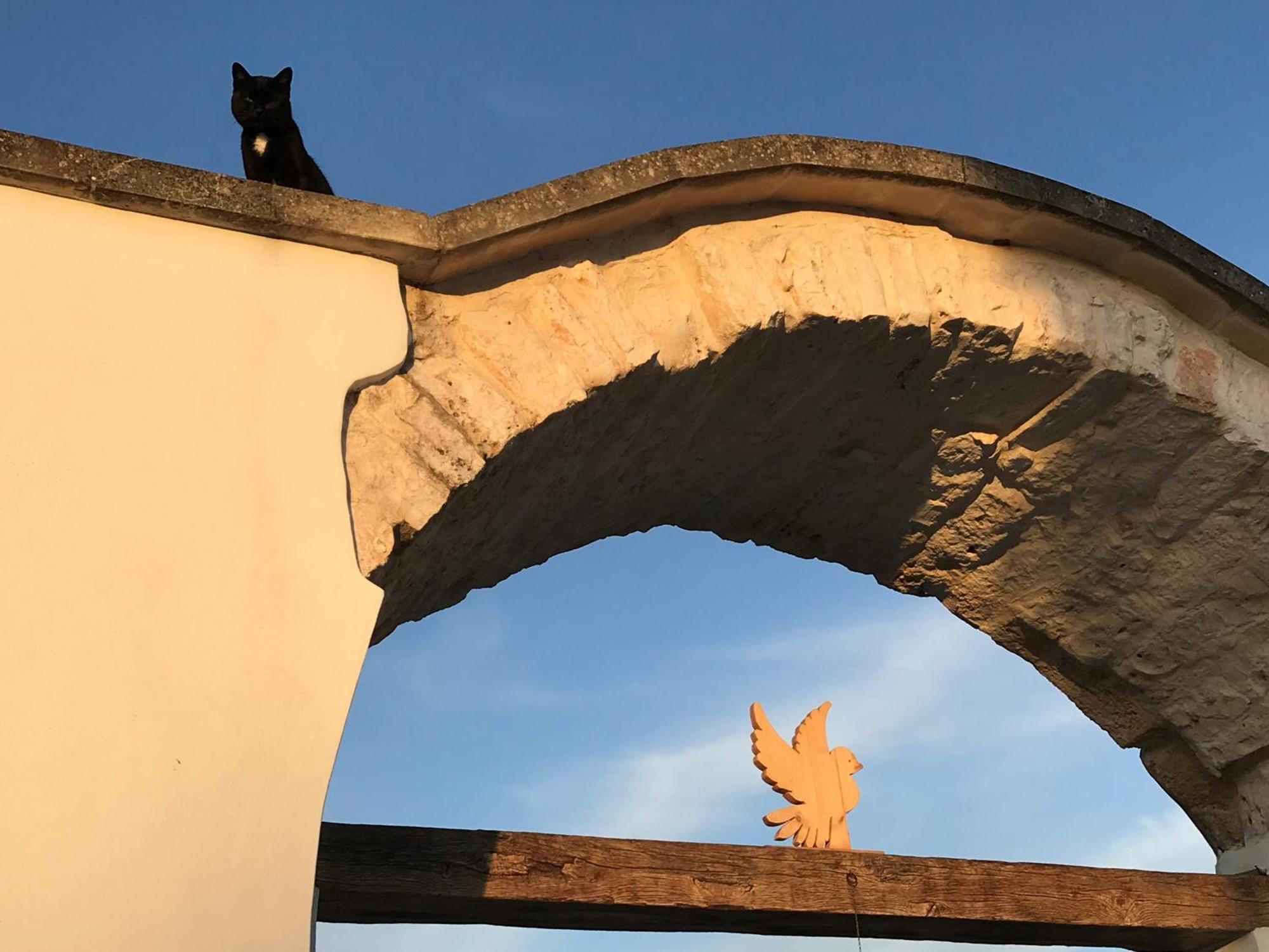 Relais Masseria Della Colomba - Agriturismo 프란카빌라 폰타나 외부 사진