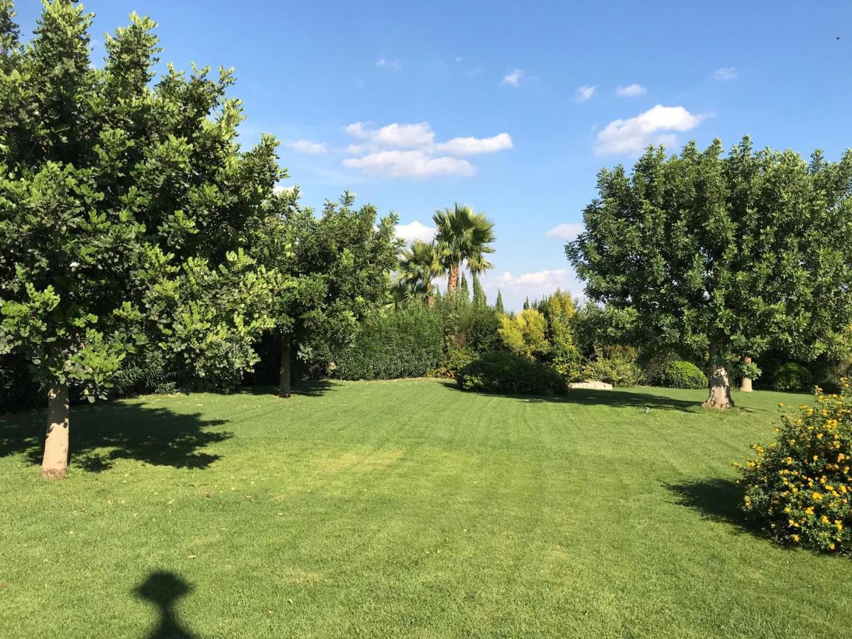 Relais Masseria Della Colomba - Agriturismo 프란카빌라 폰타나 외부 사진